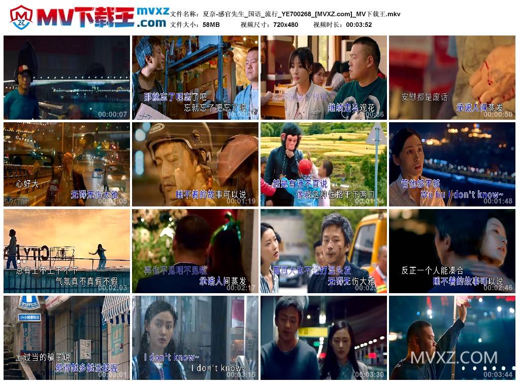 夏奈-感官先生_国语_流行_YE700268